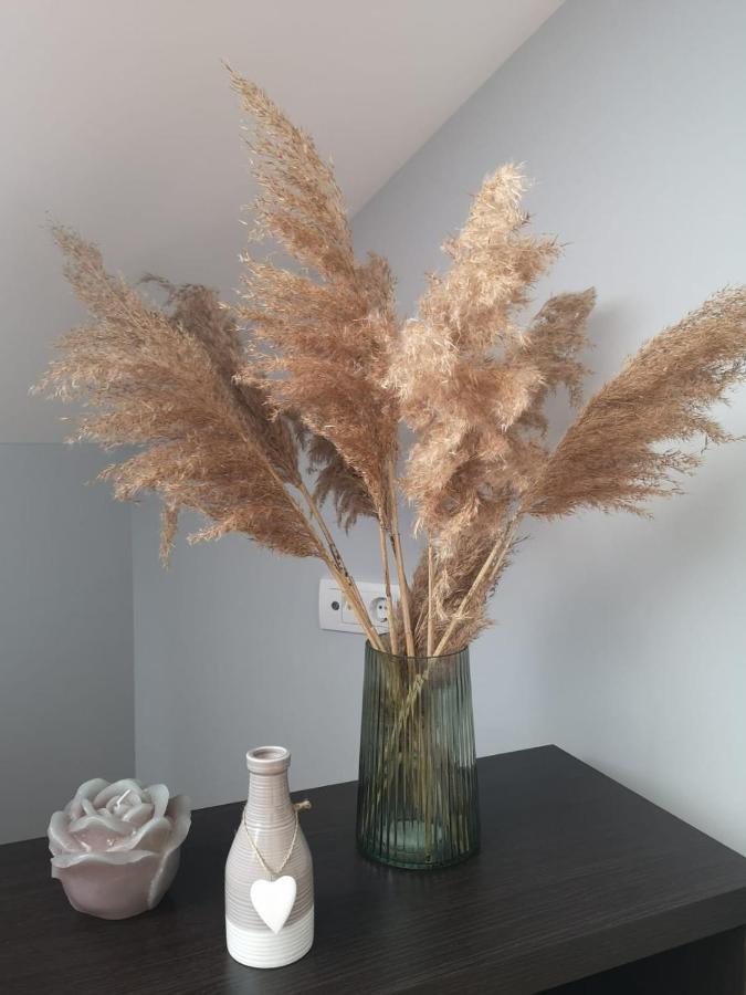 Apartman Jela Nova Varoš Extérieur photo