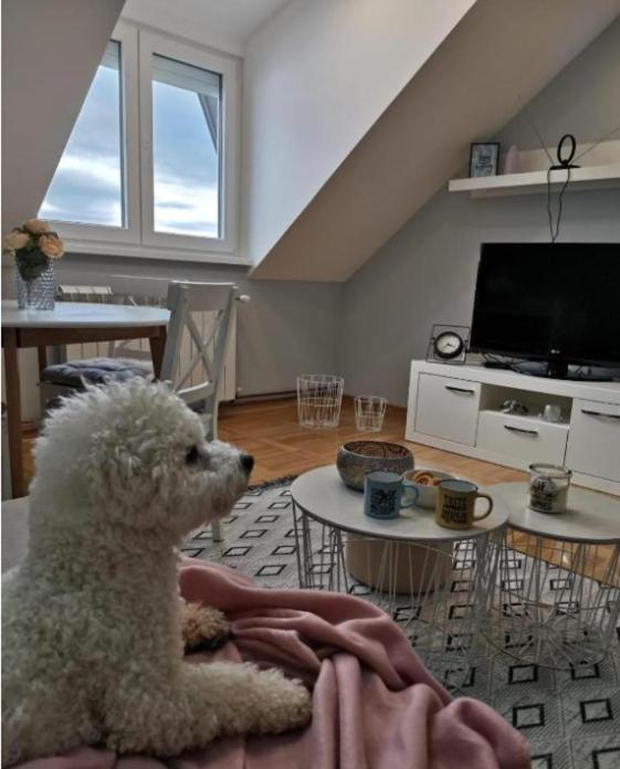 Apartman Jela Nova Varoš Extérieur photo