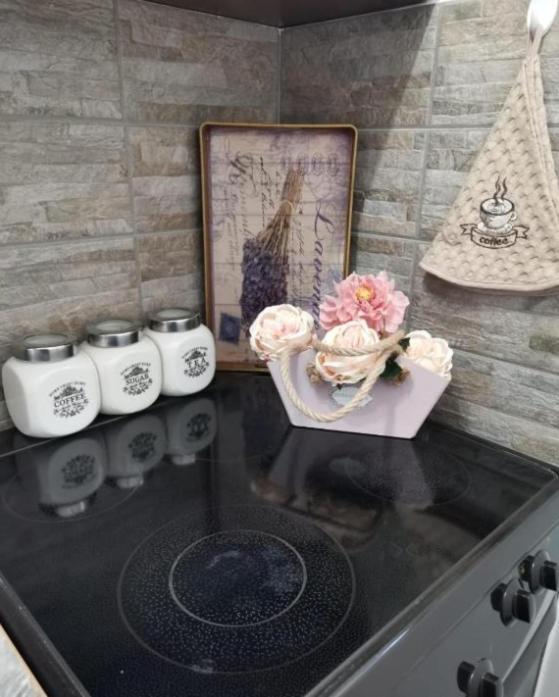 Apartman Jela Nova Varoš Extérieur photo