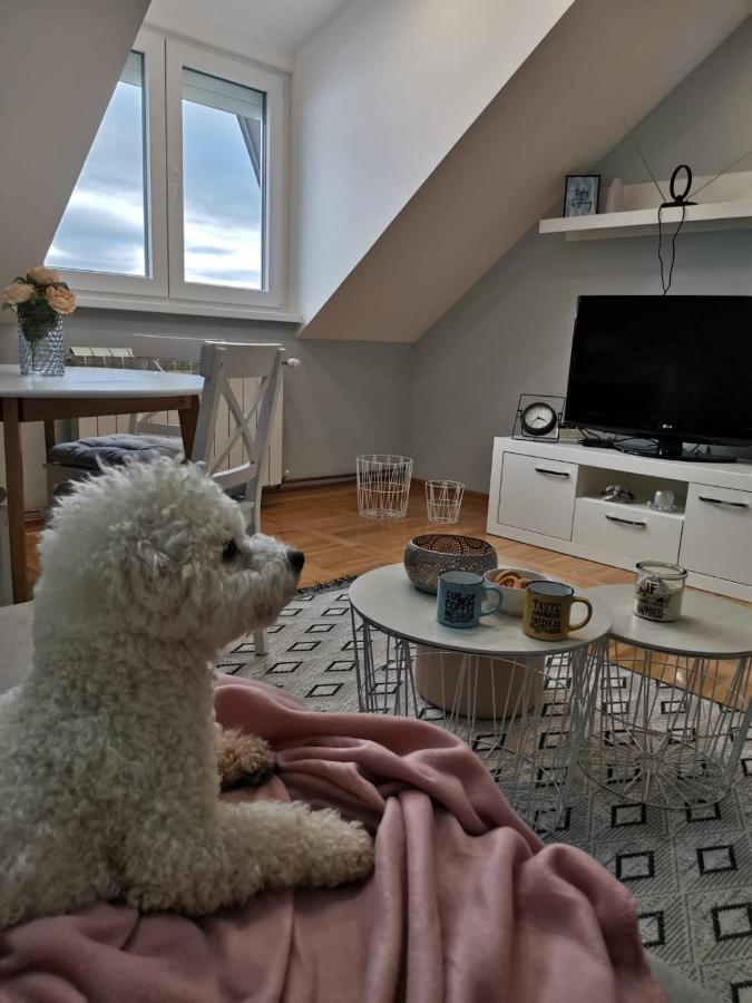 Apartman Jela Nova Varoš Extérieur photo